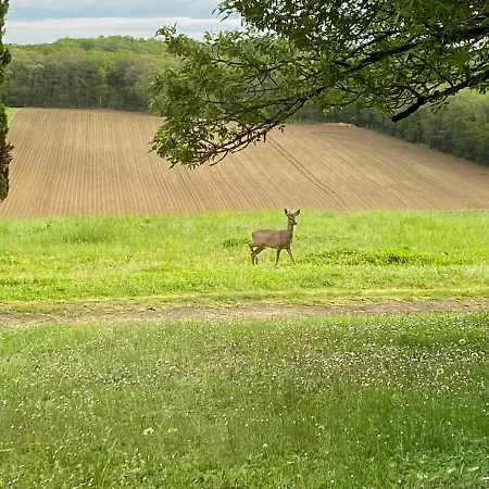 Сasa de vacaciones D'henriette